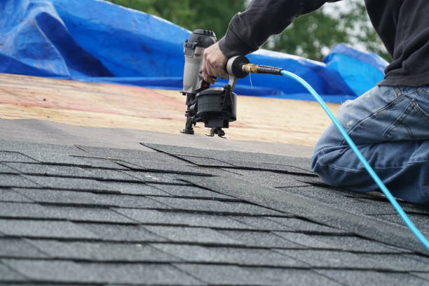 Best Storm Damage Roof Repair  in Timberville, VA