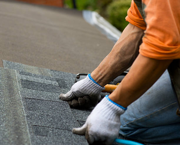 Best Emergency Roof Repair  in Timberville, VA