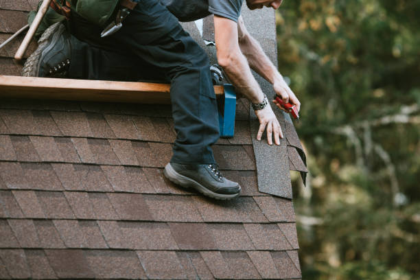 Best Roof Gutter Cleaning  in Timberville, VA