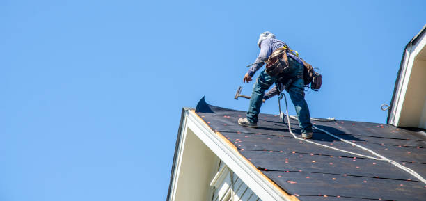 Best Roof Leak Repair  in Timberville, VA